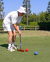 A. Tanaka sets for a short roquet.